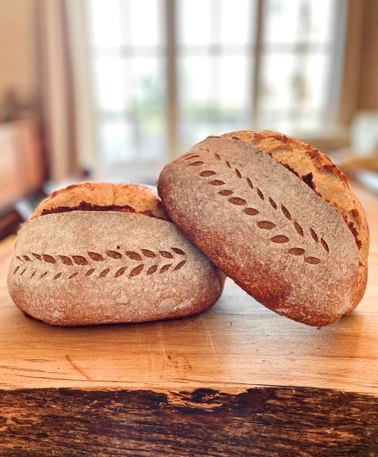 Classic Sourdoughs